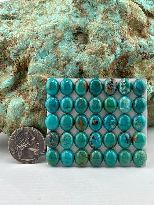 9x11 Oval Calibrated Cabs