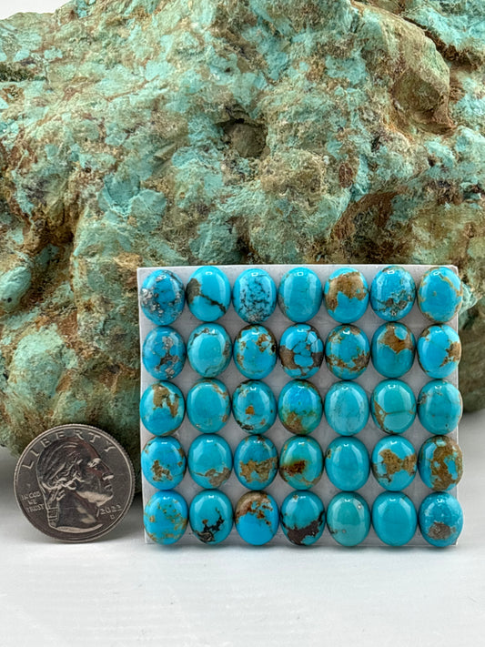 9x11 Oval Calibrated Cabs