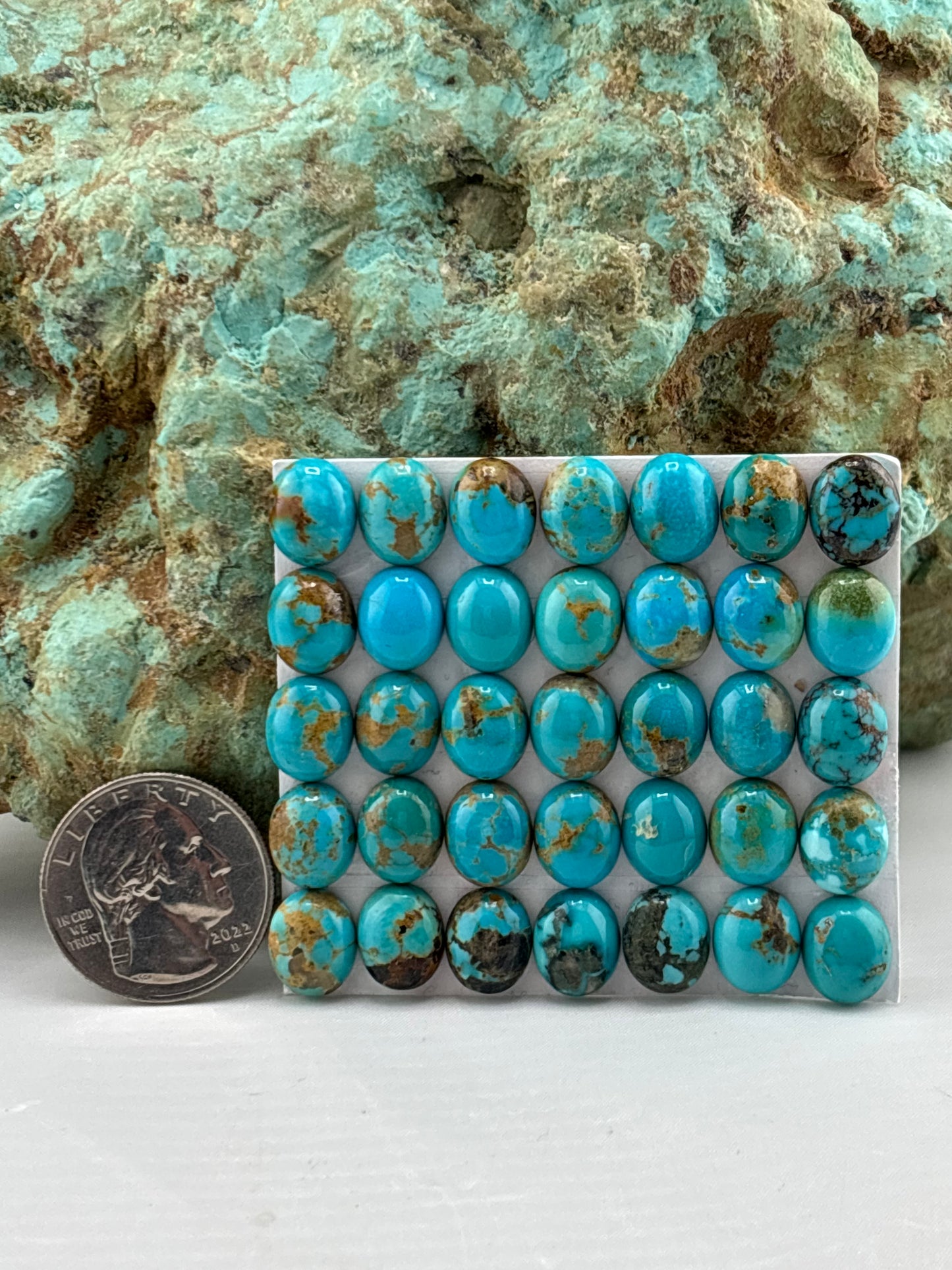 9x11 Oval Calibrated Cabs
