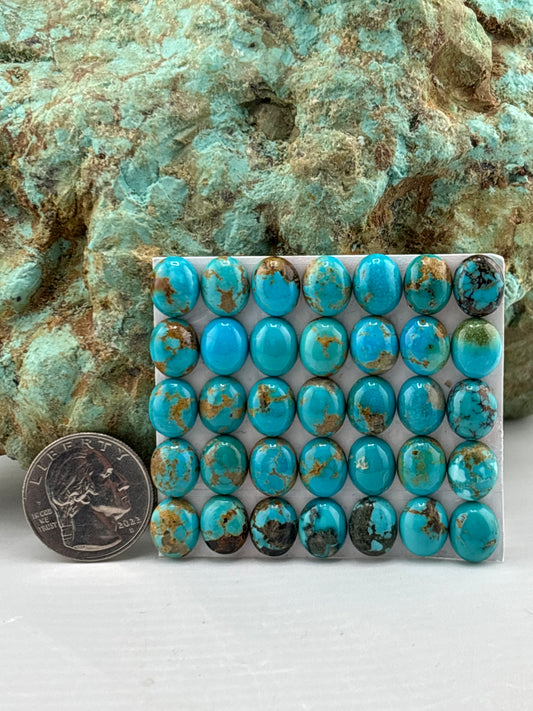 9x11 Oval Calibrated Cabs