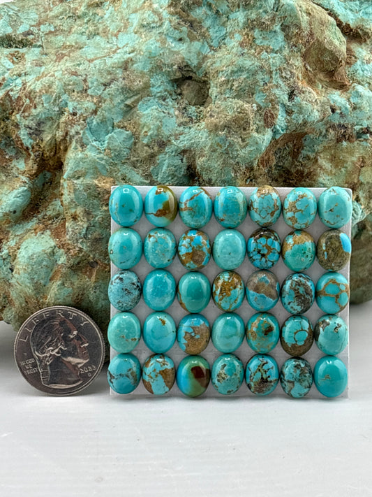 9x11 Oval Calibrated Cabs