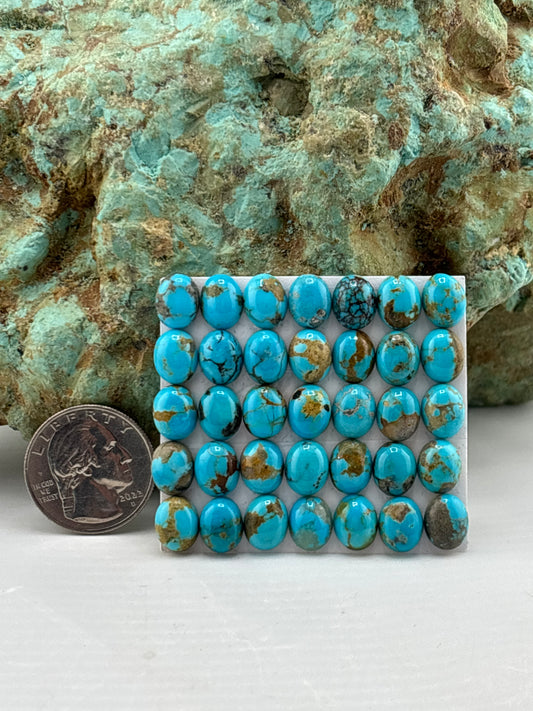 8x10 Oval Calibrated Cabs