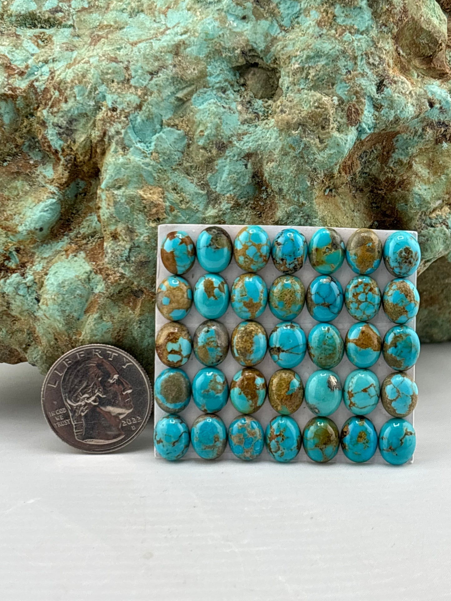 8x10 Oval Calibrated Cabs