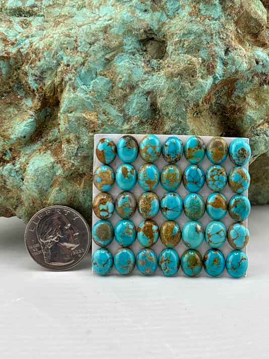 8x10 Oval Calibrated Cabs