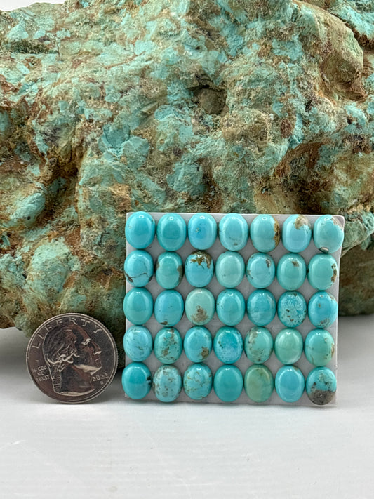 8x10 Oval Calibrated Cabs