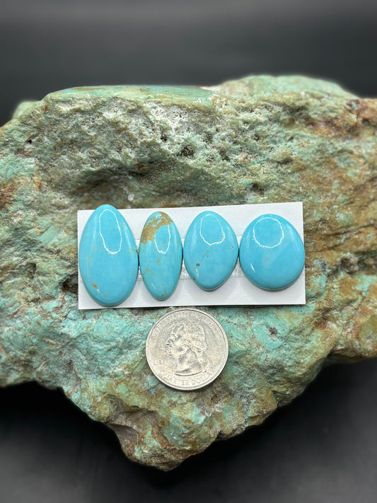 Freeform Cabochons 262