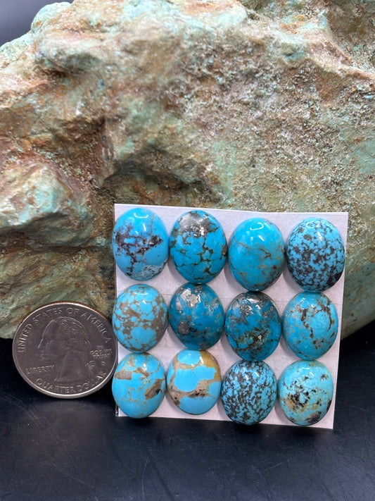 12x16 Oval Calibrated Cabs