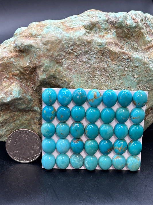 9x11 Oval Calibrated Cabs
