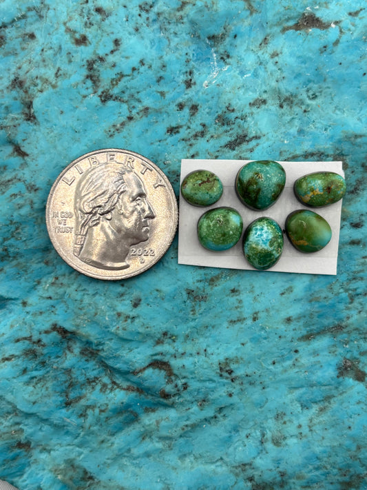 Cielo Freeform Set #218
