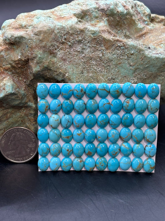 7x9 Oval Calibrated Cabs