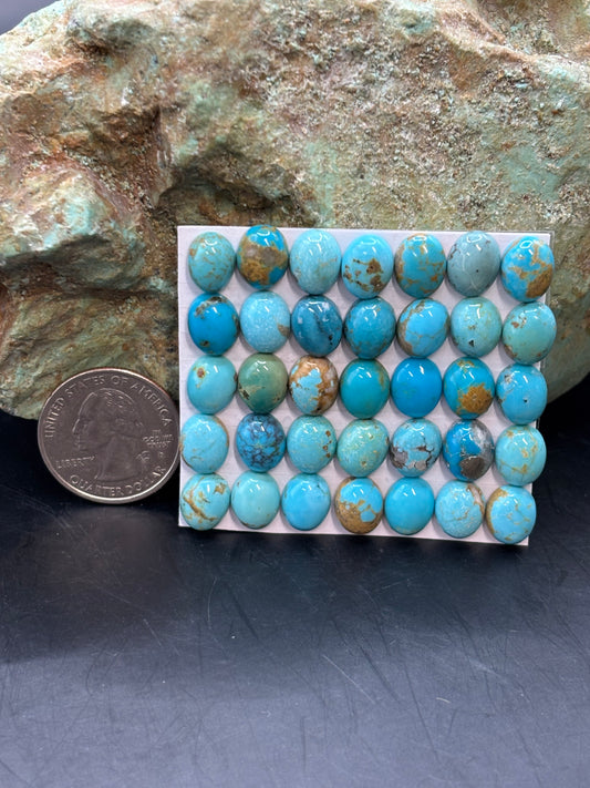 8x10 Oval Calibrated Cabs