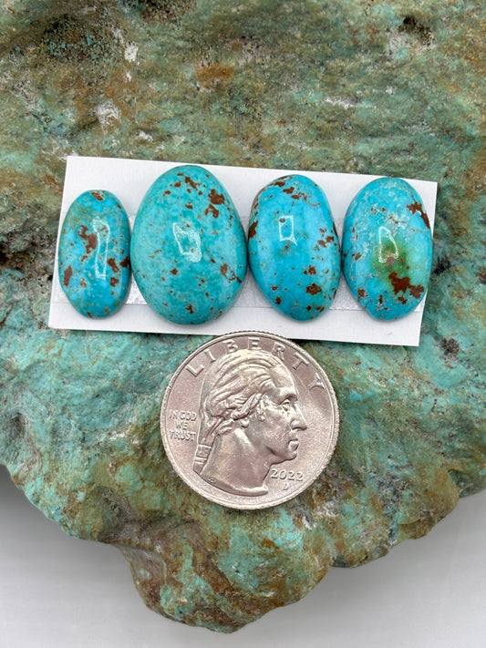 Freeform Cabochons 685