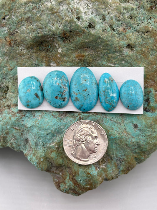 Freeform Cabochons 694