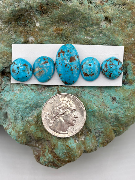 Freeform Cabochons 699