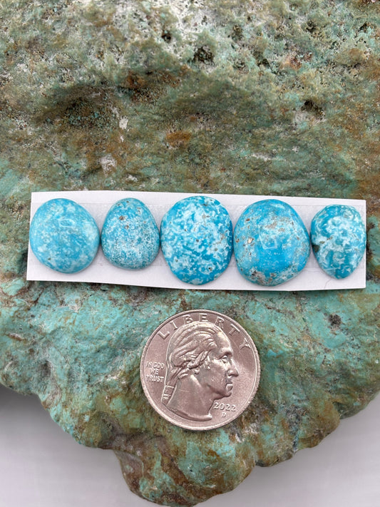 Freeform Cabochons 700