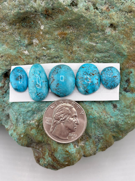 Freeform Cabochons 701