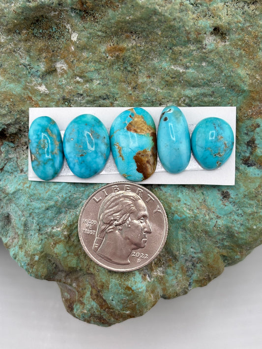 Freeform Cabochons 702