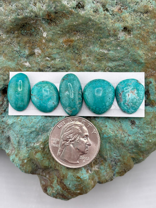 Freeform Cabochons 704