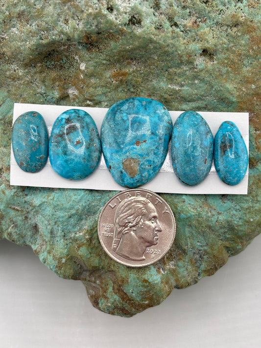Freeform Cabochons 709