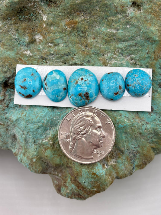 Freeform Cabochons 715