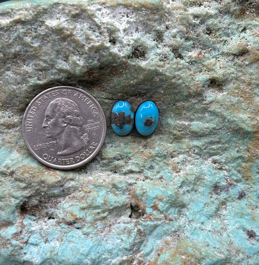 Earring Set 238