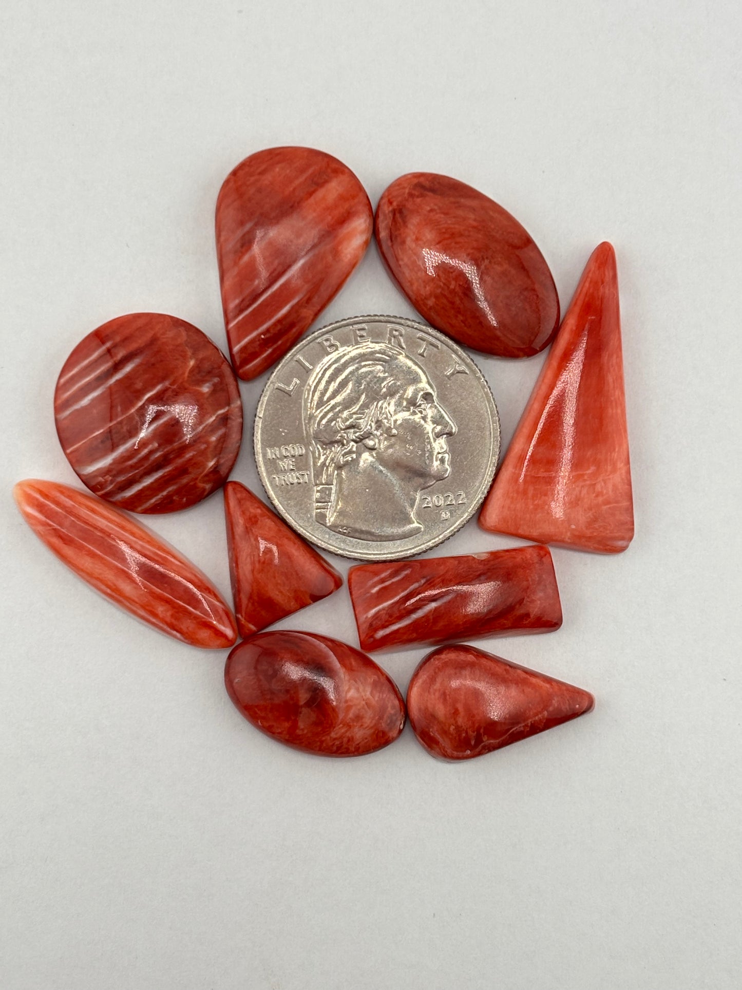 Red Spiny Oyster Bargain Bag 2