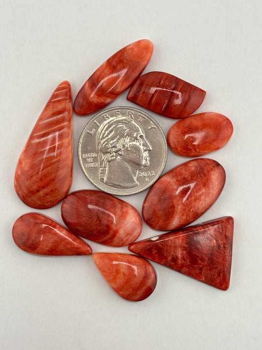 Red Spiny Oyster Bargain Bag 1