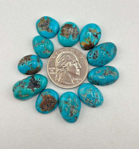 Freeform Hard/Rough Turquoise Finish lot 1