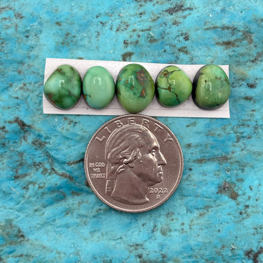 Cielo Freeform Cabochons 128