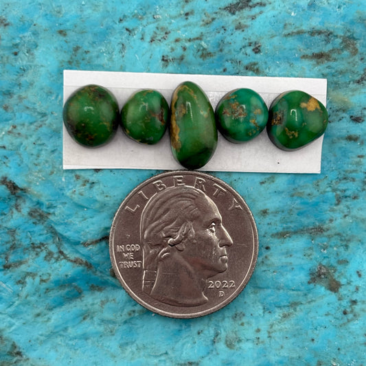 Cielo Freeform Cabochons 133