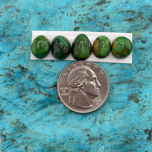 Cielo Freeform Cabochons 136