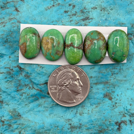 Cielo Freeform Cabochons 138