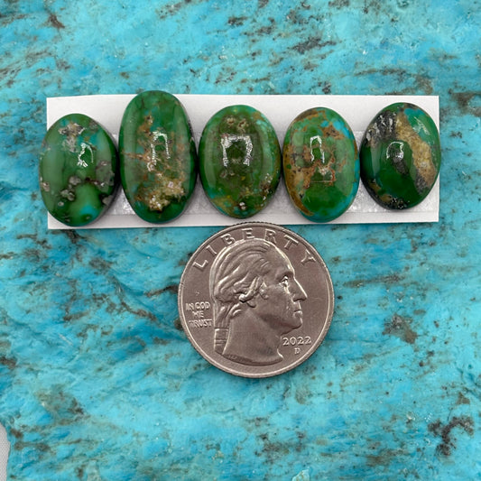 Cielo Freeform Cabochons 146