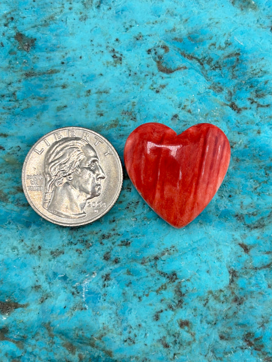 Red Spiny Heart 20