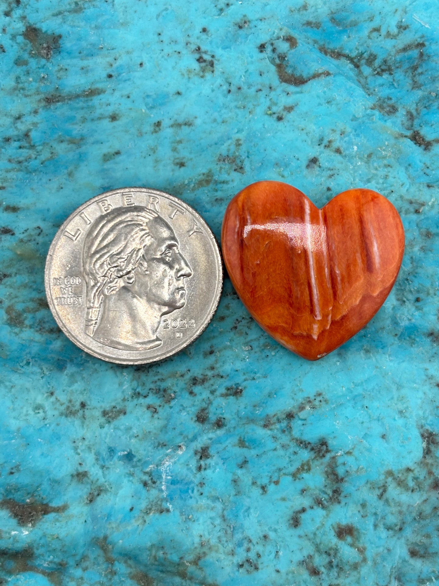 Orange Spiny Heart 20