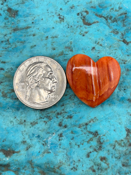 Orange Spiny Heart 20