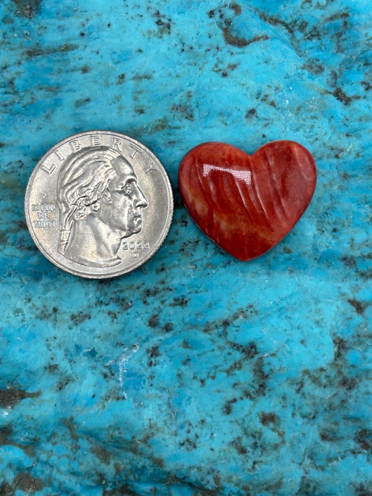 Red Spiny Heart 22