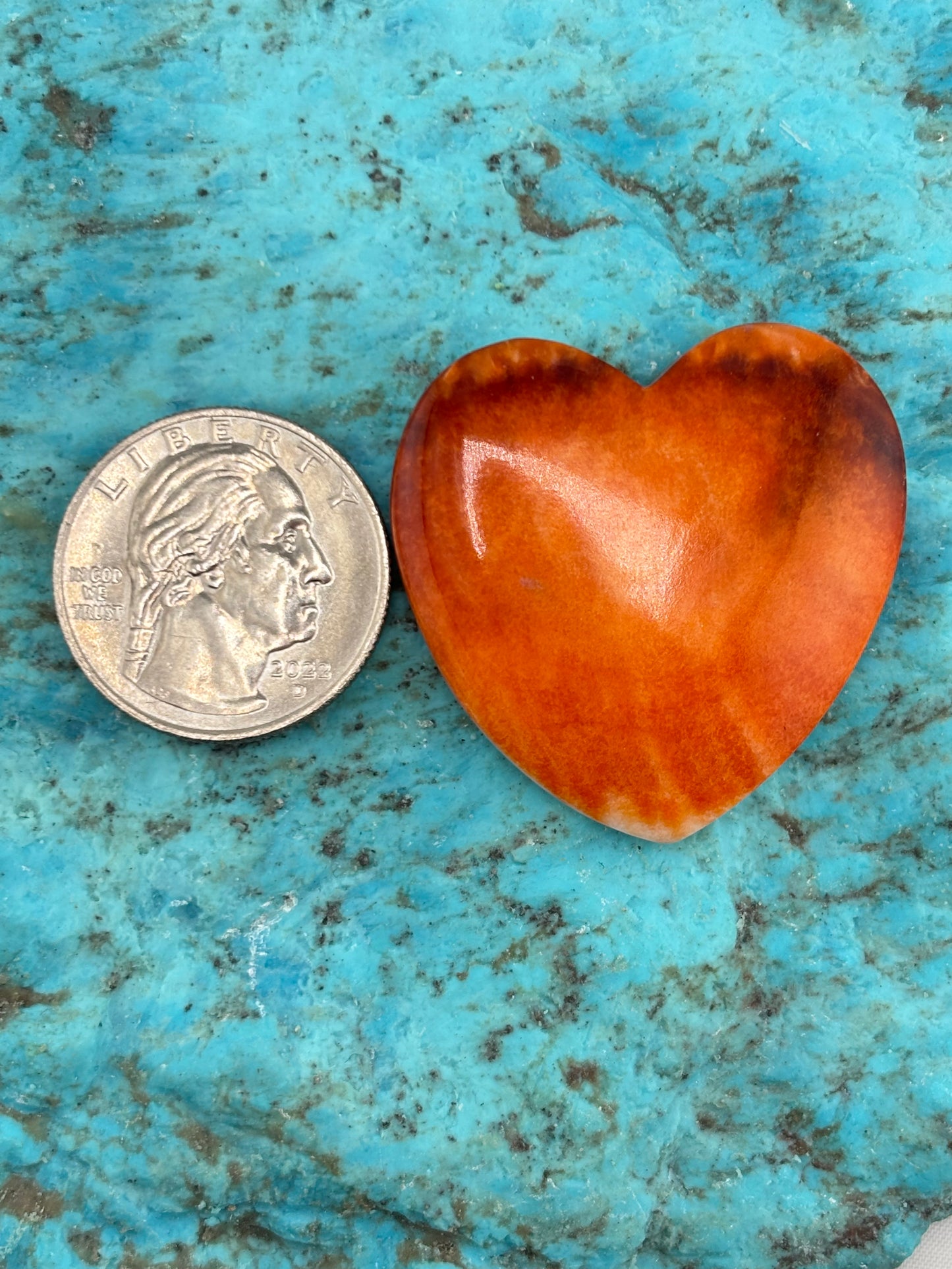 Orange Spiny Heart 22