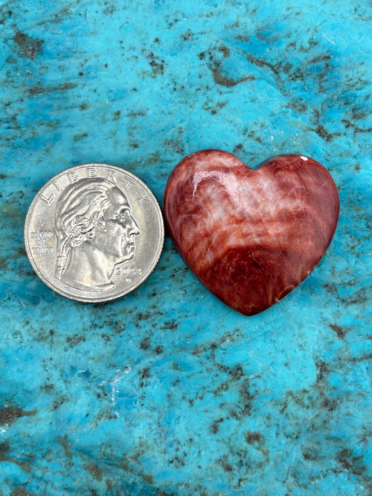 Red Spiny Heart 30
