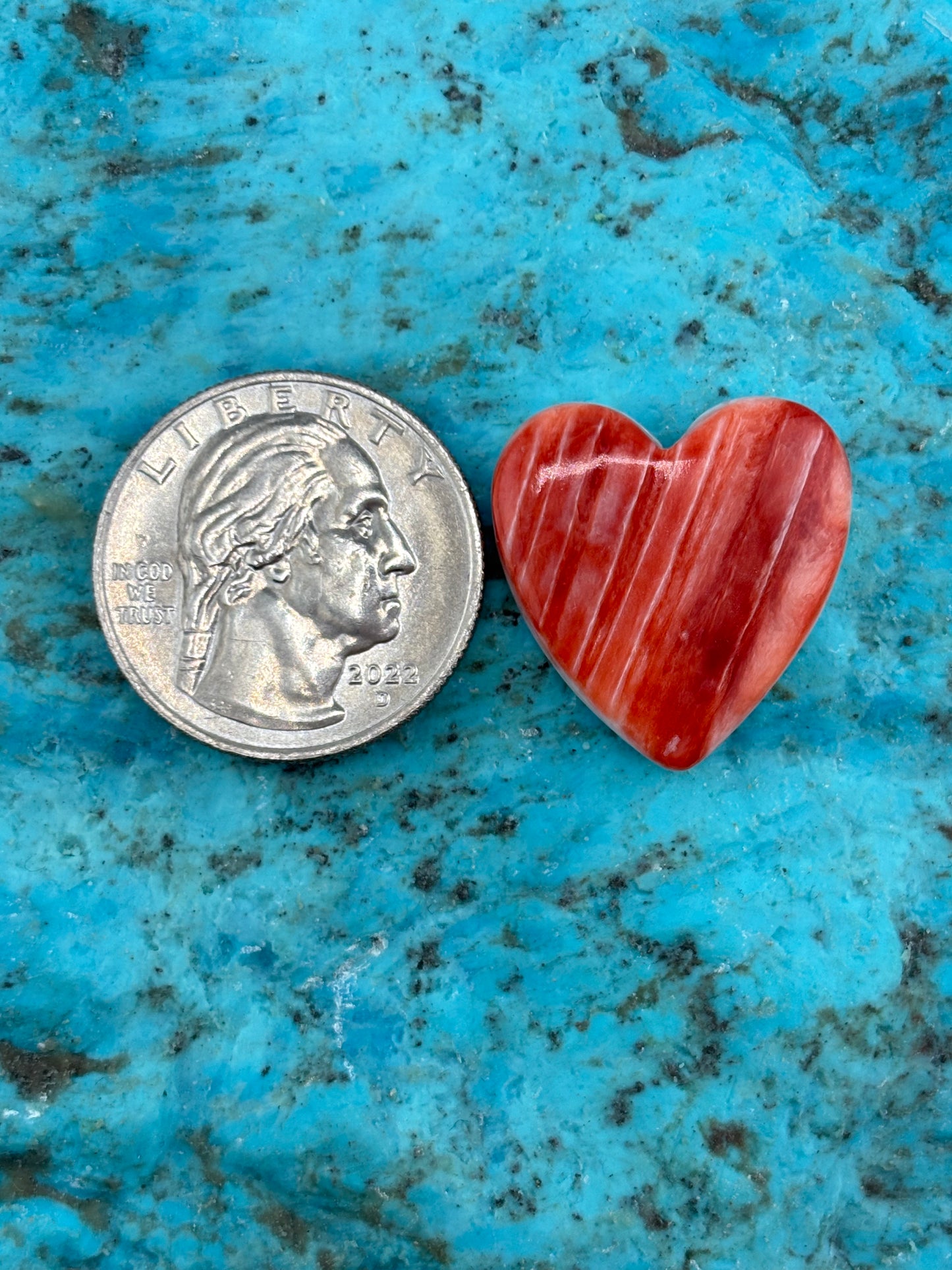 Red Spiny Heart 29