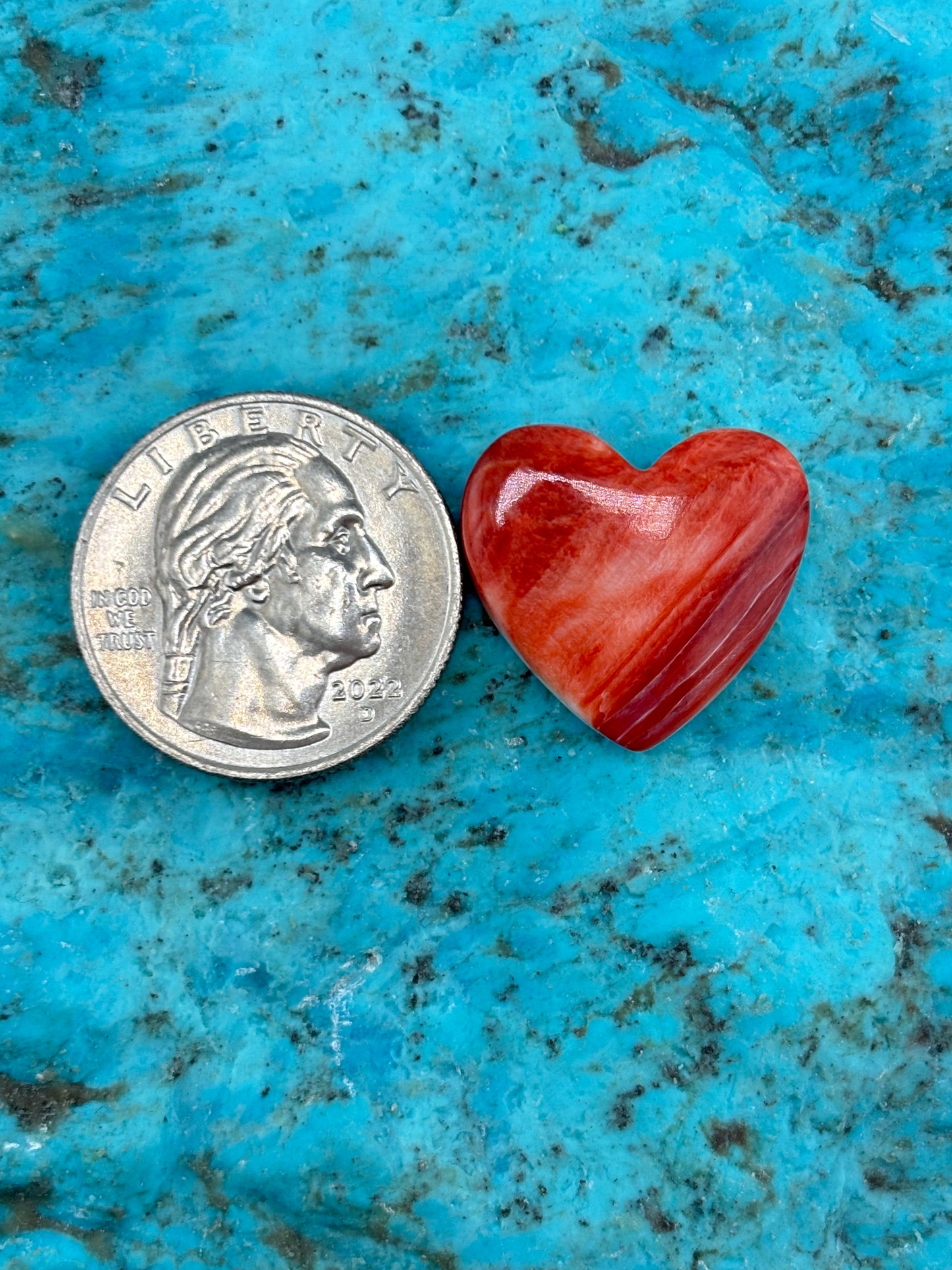 Red Spiny Heart 28