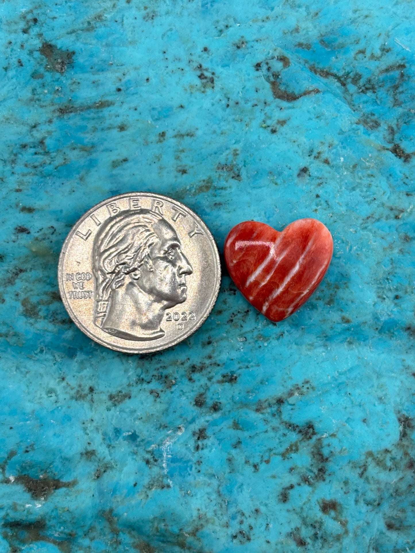 Red Spiny Heart 27