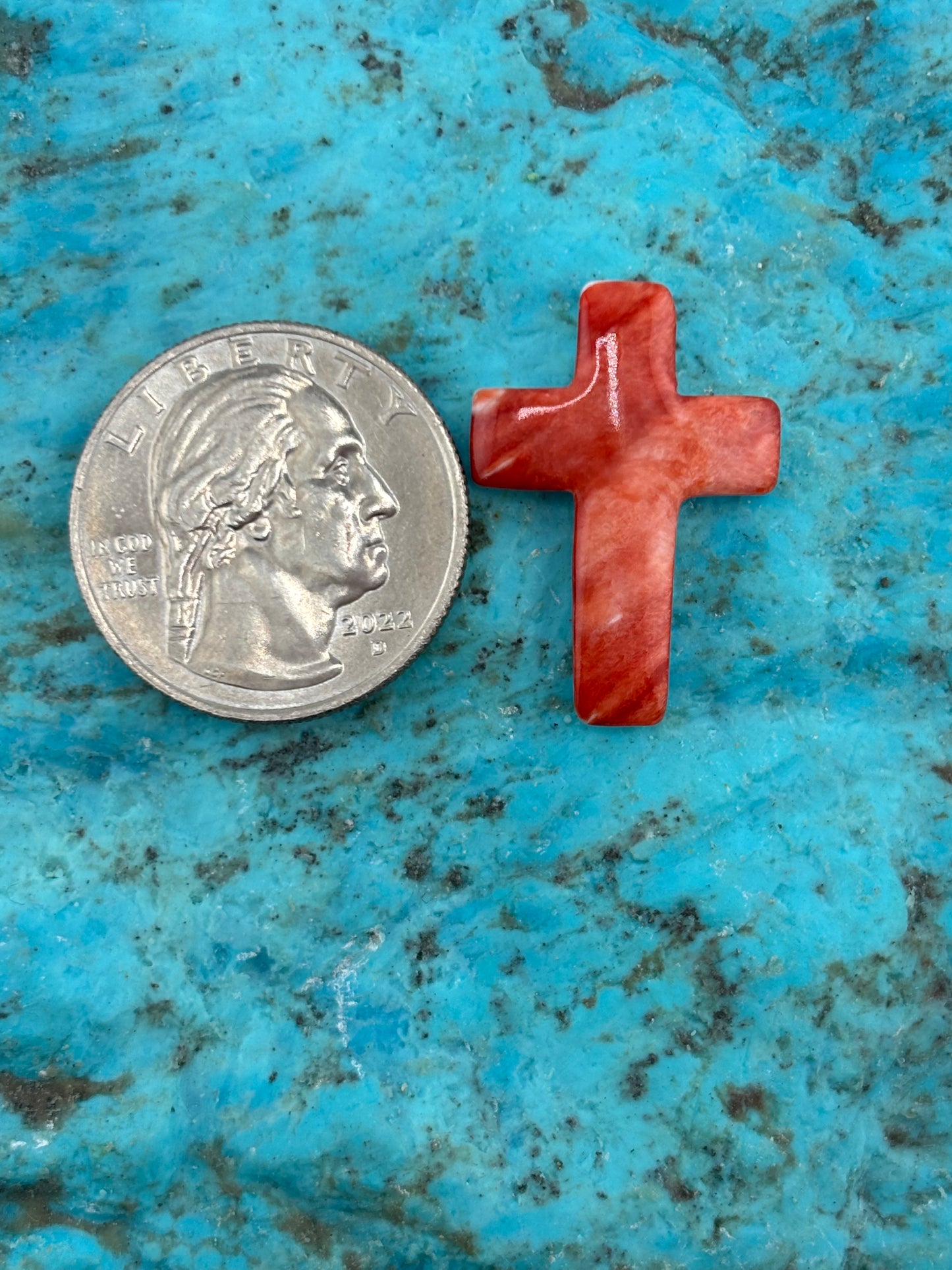 Red Spiny Cross 21
