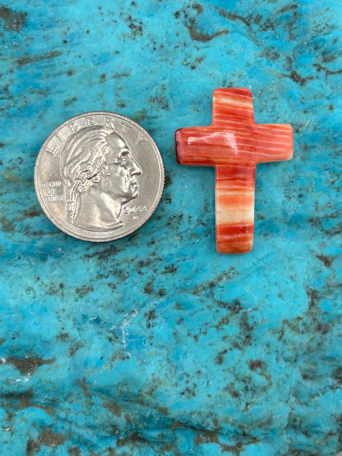 Red Spiny Cross 22