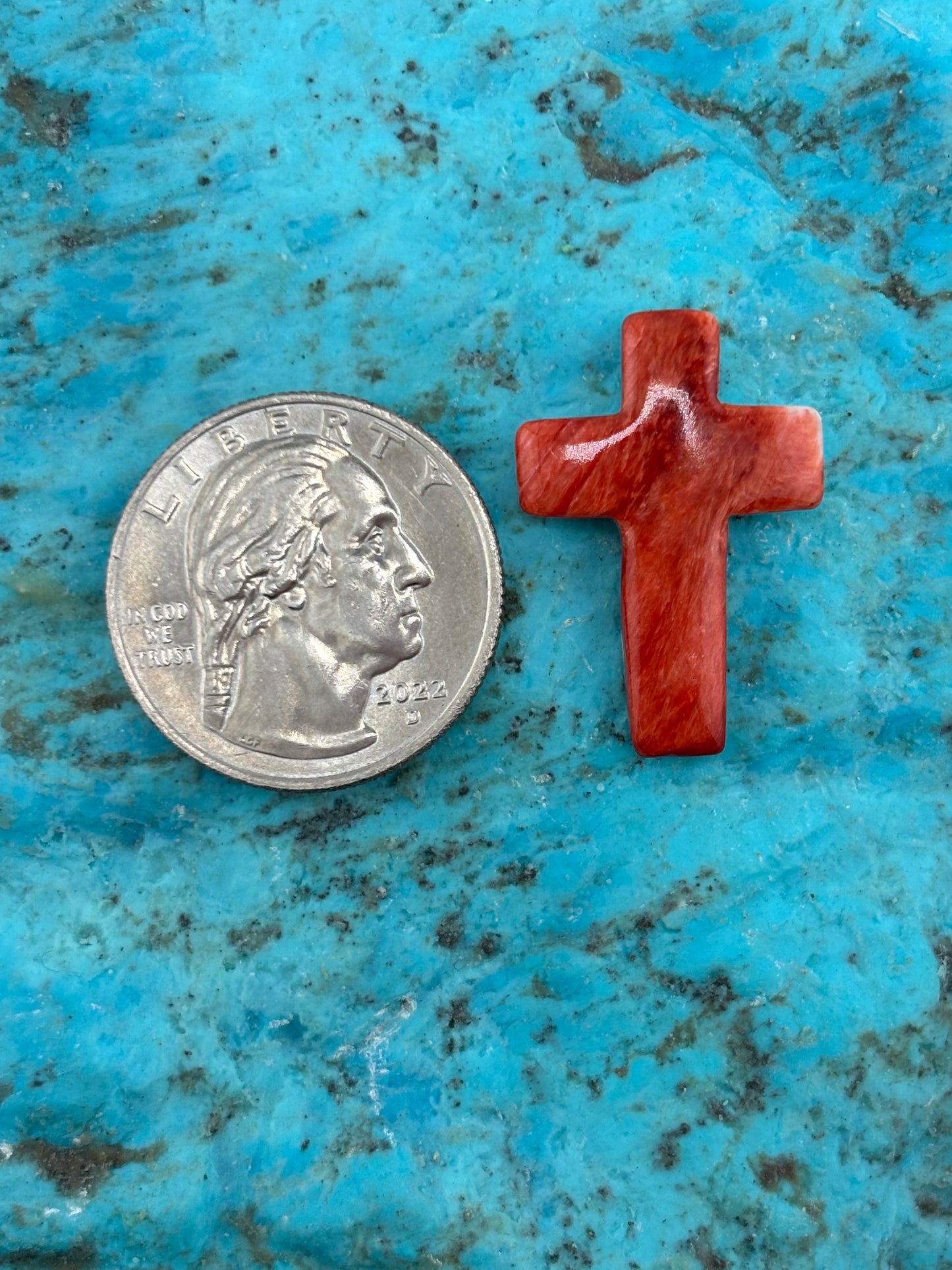 Red Spiny Cross 24