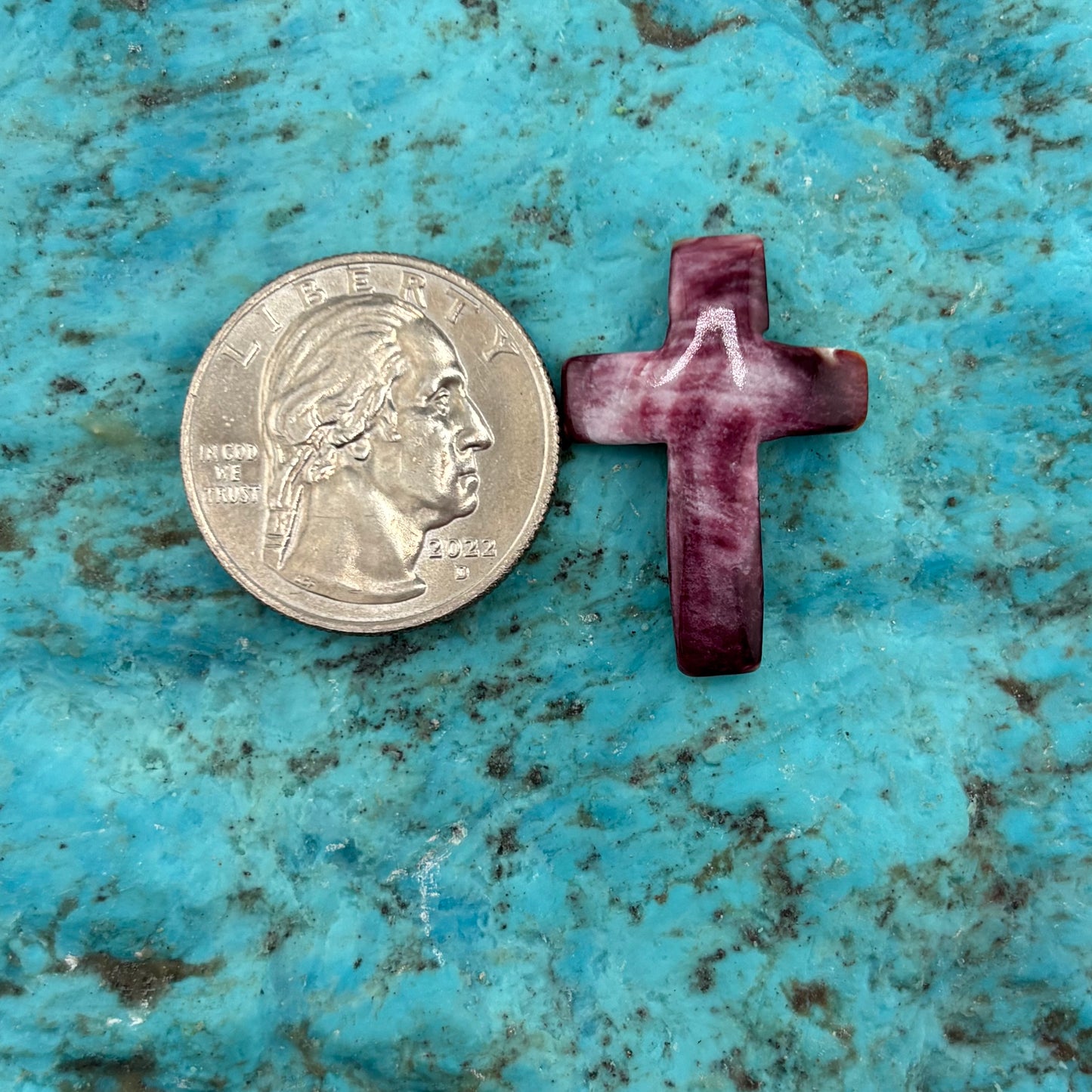 Purple Spiny Cross 20