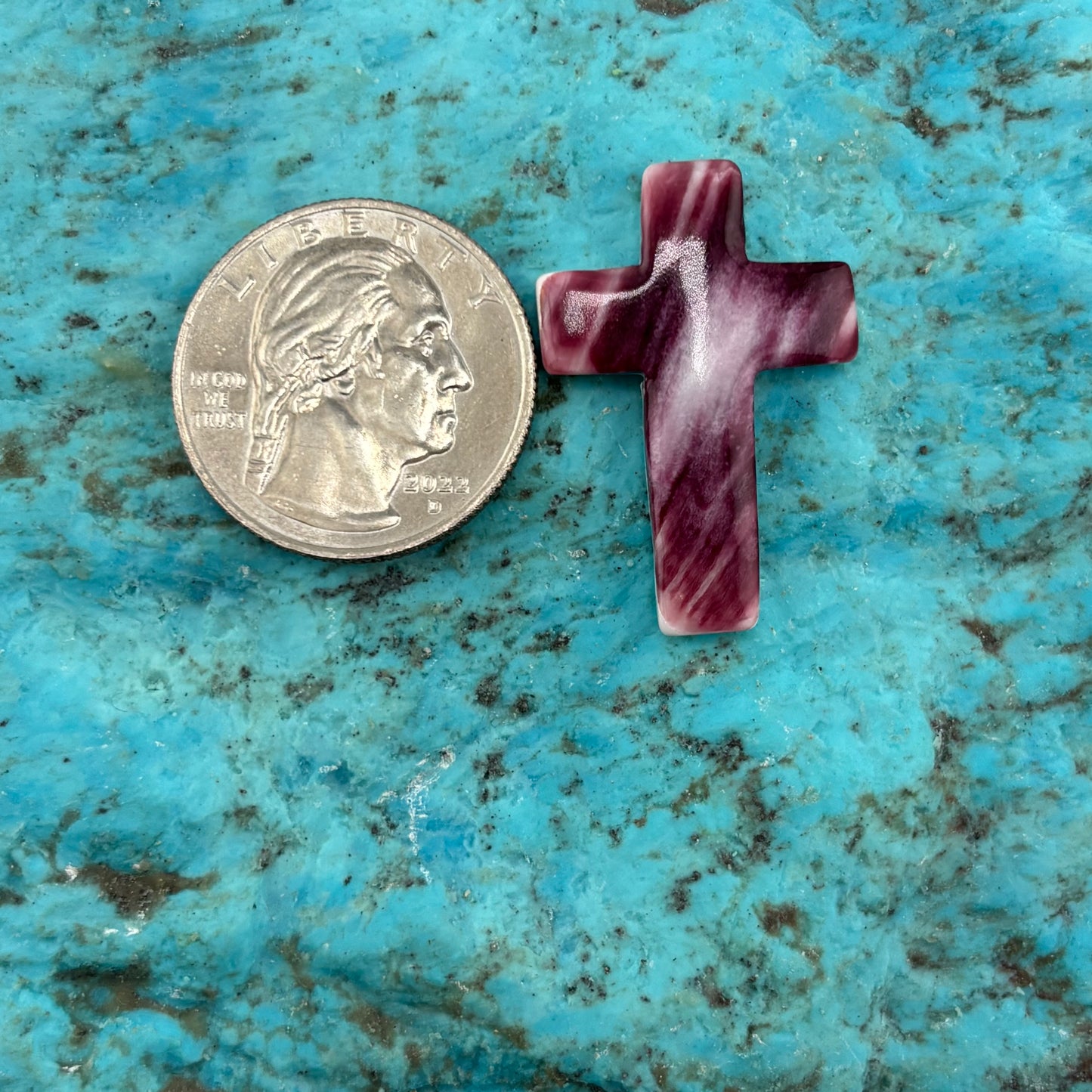 Purple Spiny Cross 22