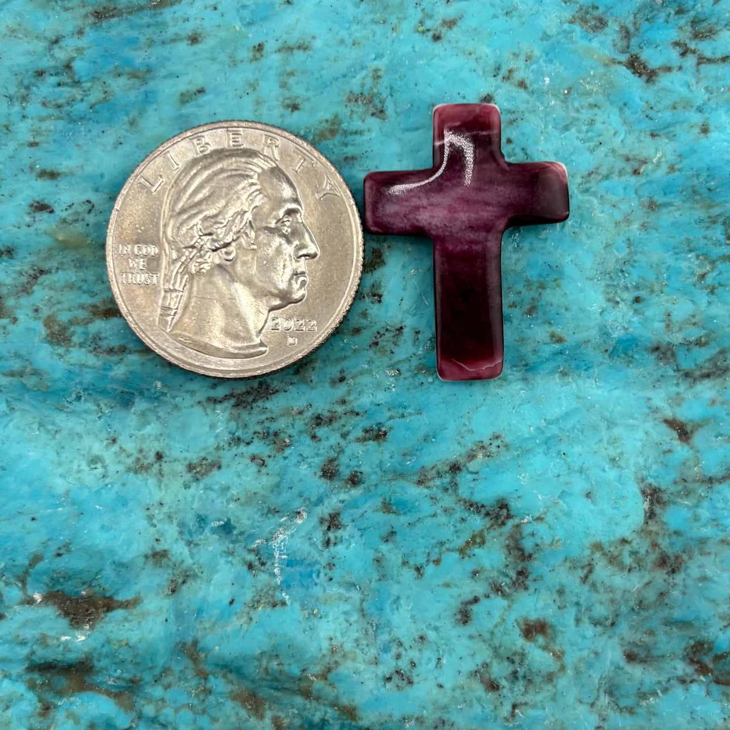 Purple Spiny Cross 23