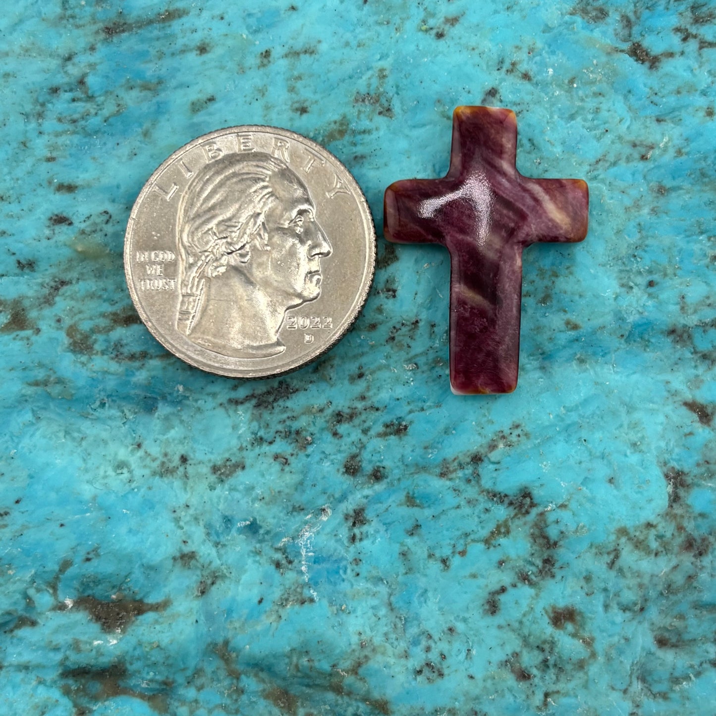 Purple Spiny Cross 27