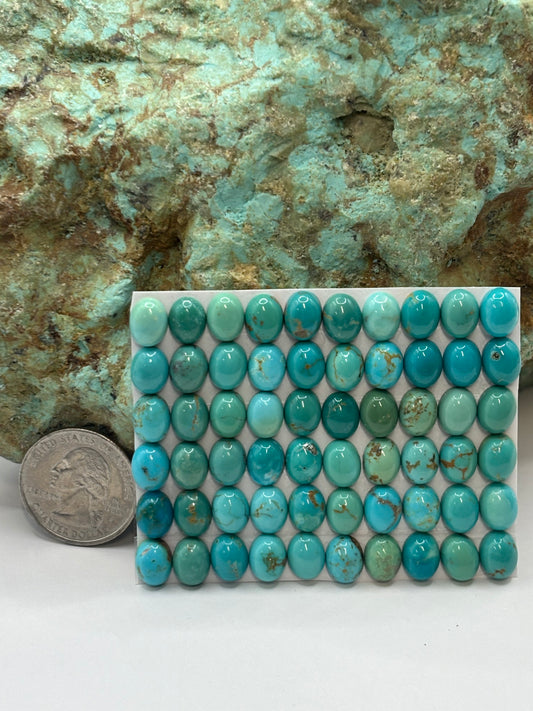 7x9 Oval Calibrated Cabs